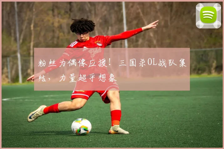 粉丝为偶像应援!三国杀OL战队集结,力量超乎想象