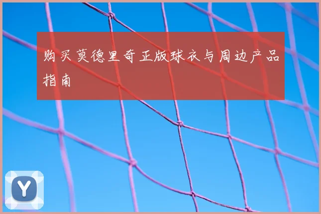 购买莫德里奇正版球衣与周边产品指南