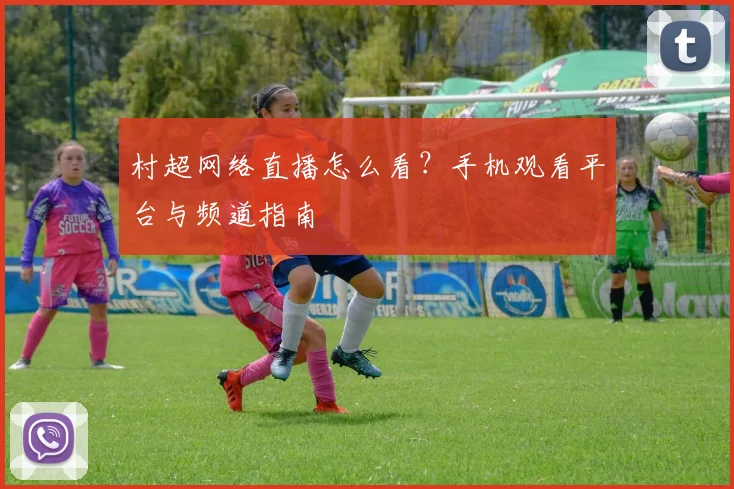 村超网络直播怎么看？手机观看平台与频道指南